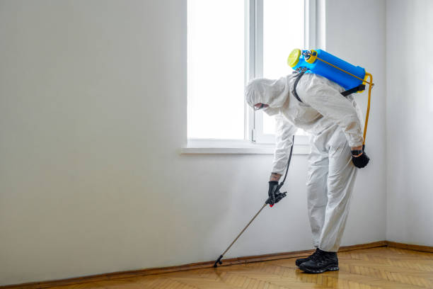 Best Pest Removal Services  in North Madison, OH