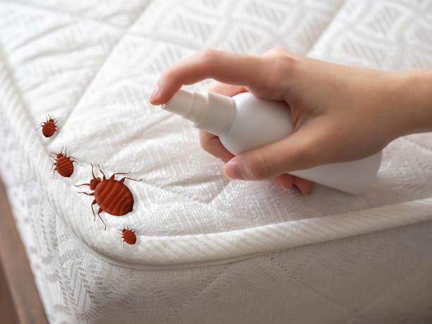 Best Cockroach Control Services  in North Madison, OH