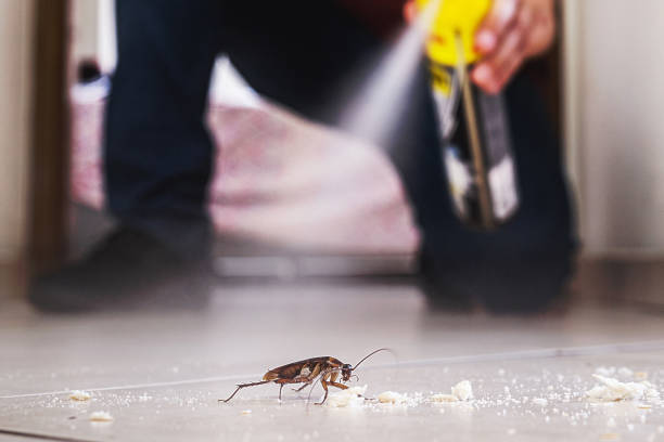 Best Exterminator Services  in North Madison, OH